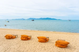 Tour Phan Thiết 3 Ngày 2 Đêm: Thiên Đường Biển Xanh & Trải